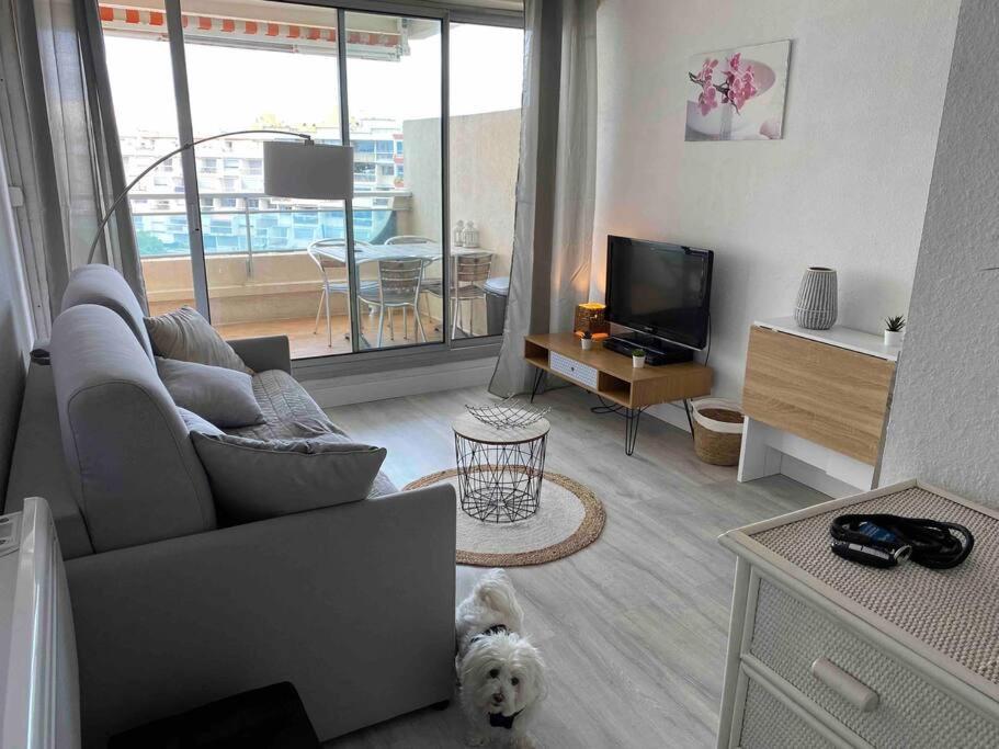 Joli Studio Vue Mer Et Port Mauguio Esterno foto